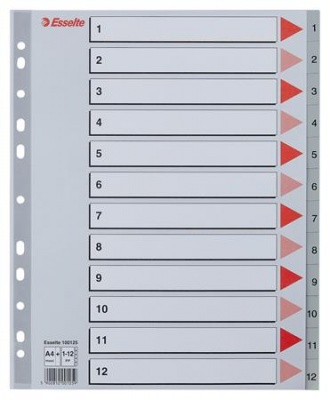 Register, plastový, A4 Maxi, 1-12, ESSELTE, sivý